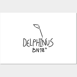 Delphinus Constellation by BN18 Posters and Art